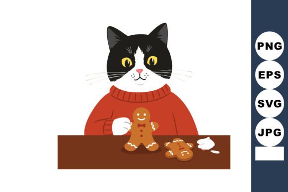 Black and White Cat in Red Sweater