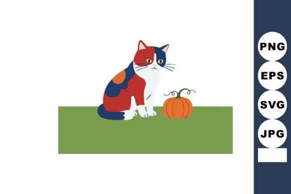 Calico Cat Sitting Near Small Orange Pum
